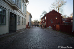 Laars Waldéns gata.
