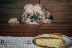 Mimi vill smaka Birgittas sockerkaka.
