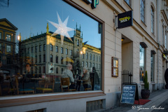Julmåltidsgäster