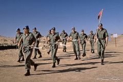 Högvaktsövning på Camp Tre Kronor, Sinai.