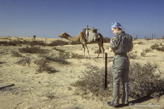 Ralf Håkansson och en dromedar, Camp Tre Kronor, Sinai.