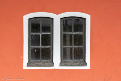 Fönster