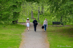 I parken