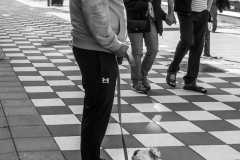 Mannen med hunden.